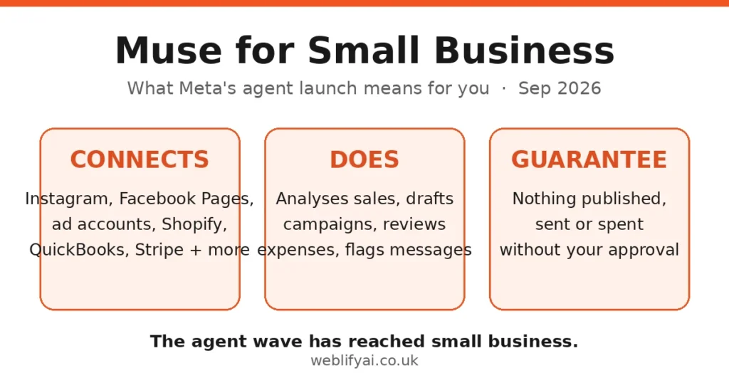 Muse for Small Business launch highlights infographic